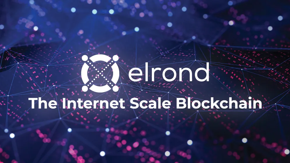 About the Elrond Blockchain