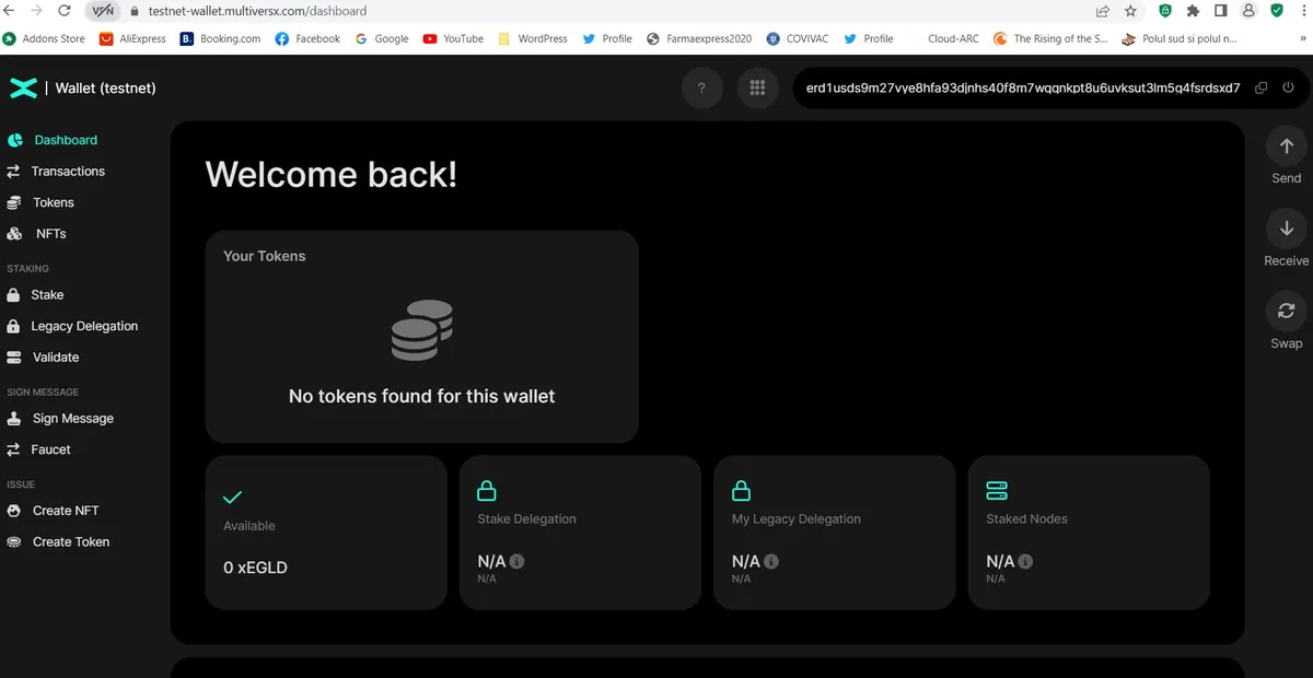 How to create a MultiversX Testnet Wallet