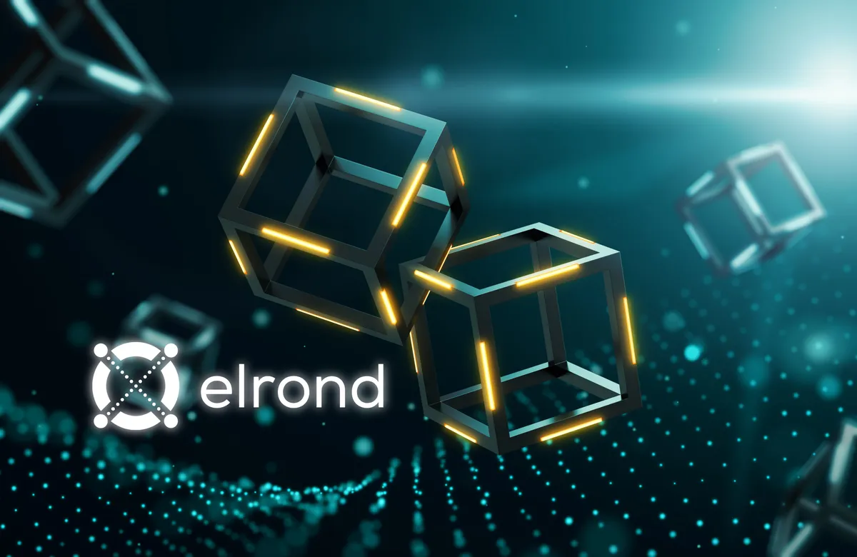 Meet Elrond the best blockchain in the world!