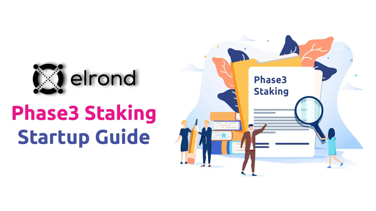 Phase3 Staking - Startup Guide